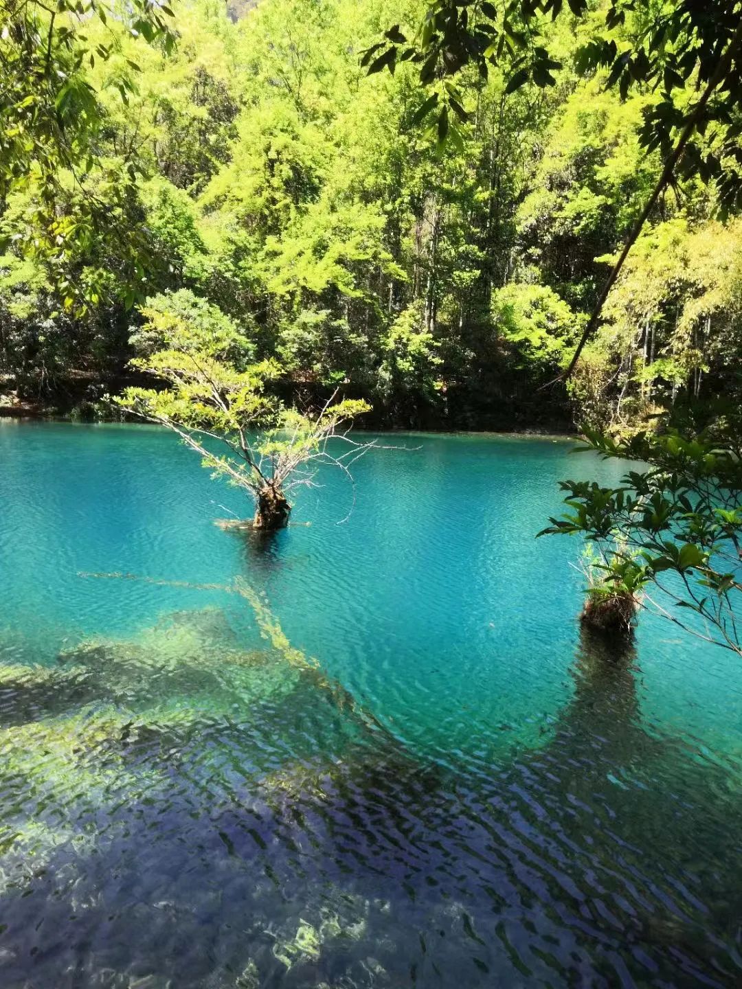 荔波大小七孔景区