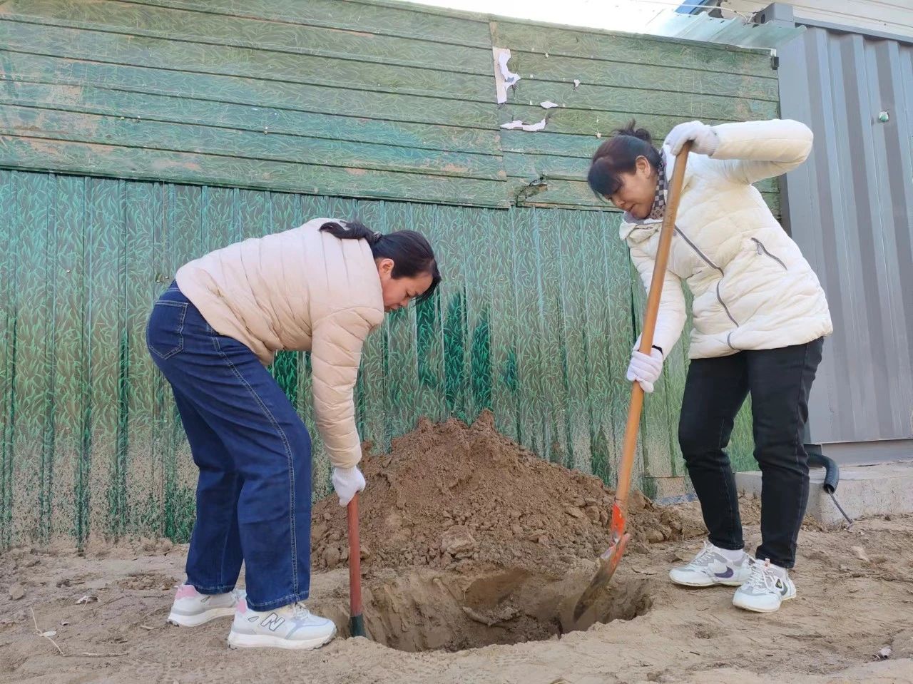 植树正当时