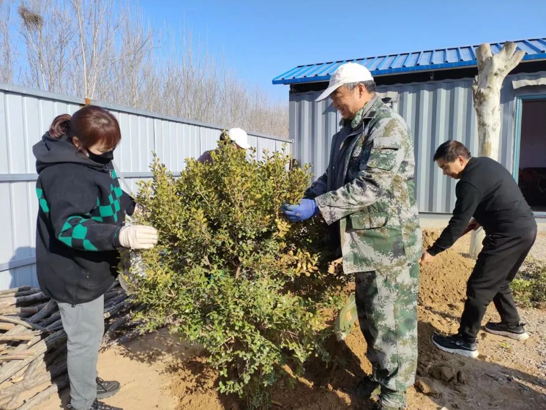 播种绿色·收获美好