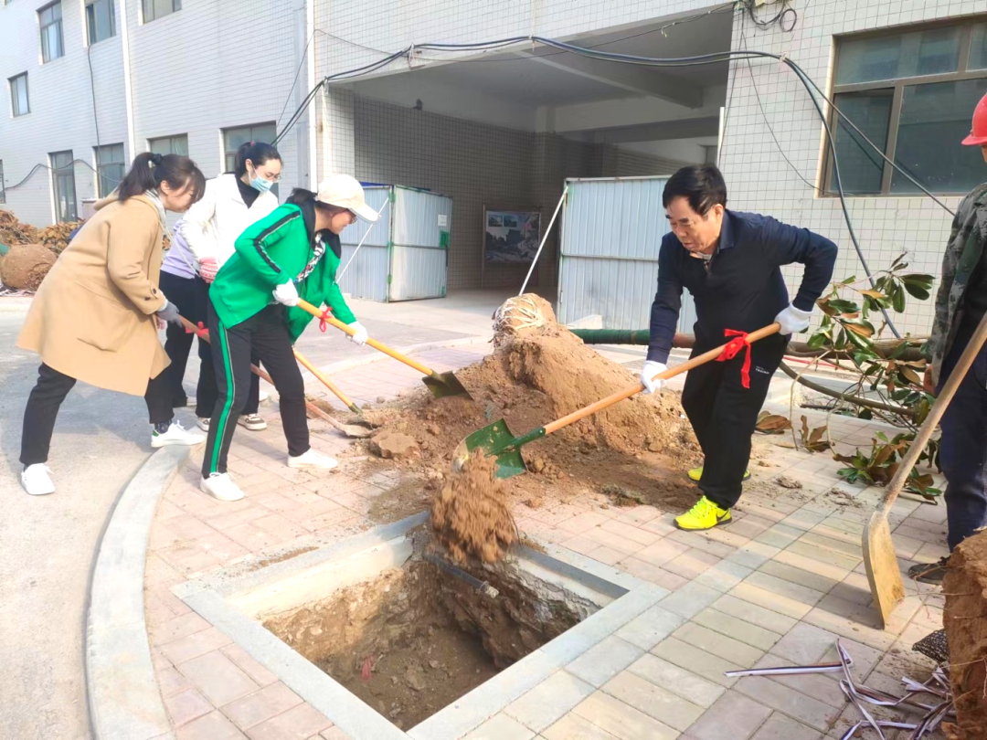 热火朝天的植树现场