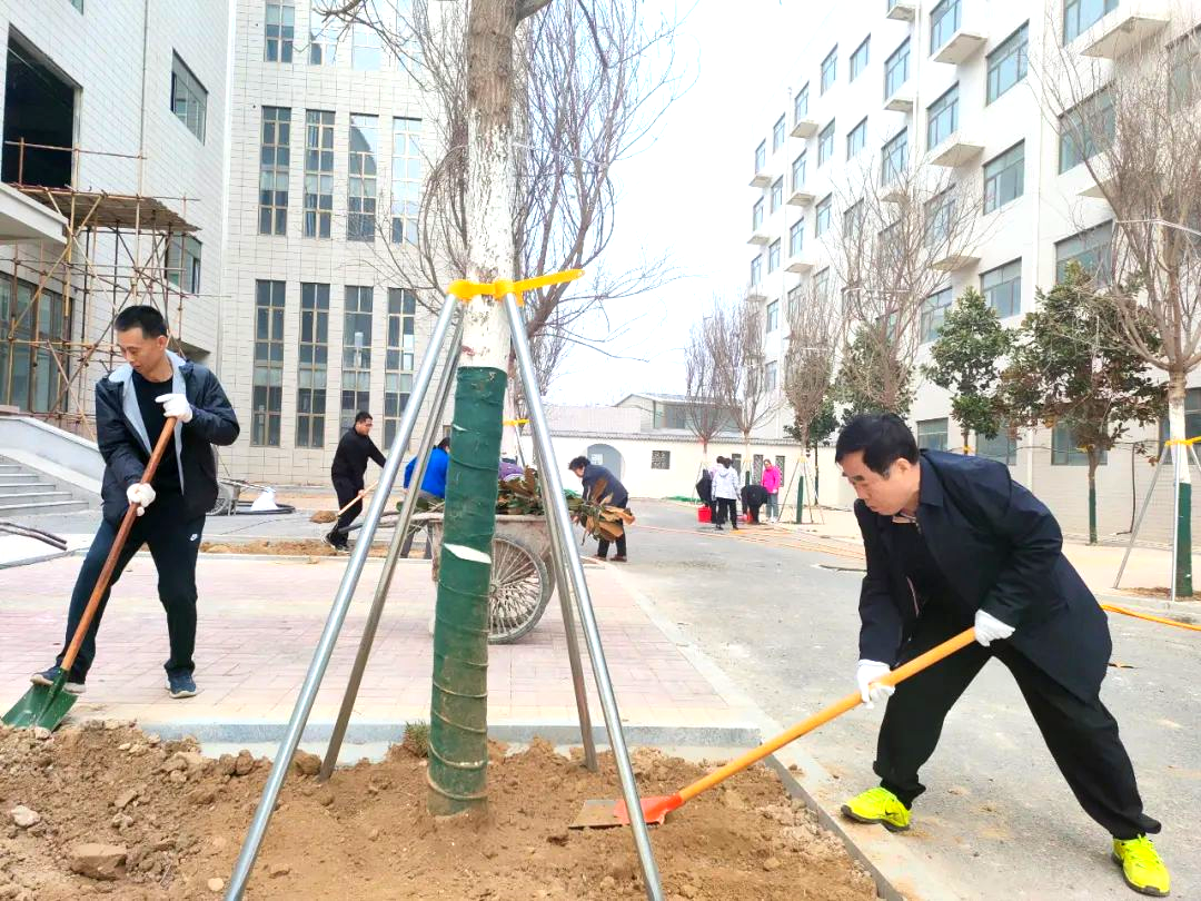 热火朝天的植树现场