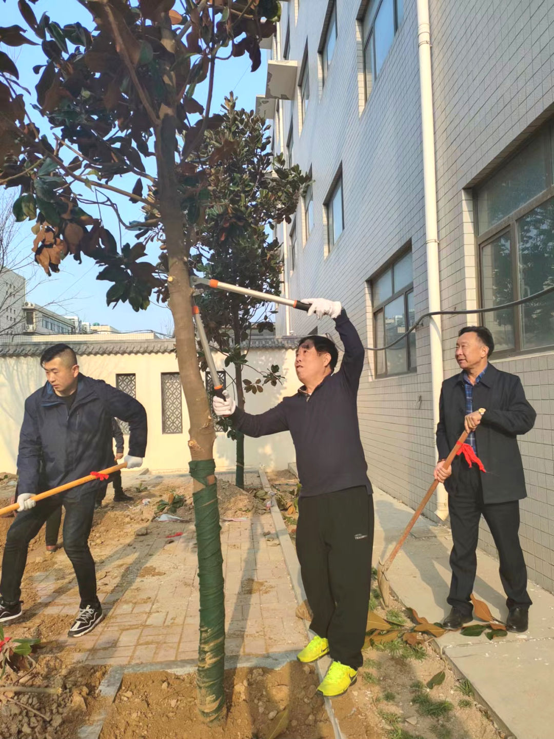 热火朝天的植树现场