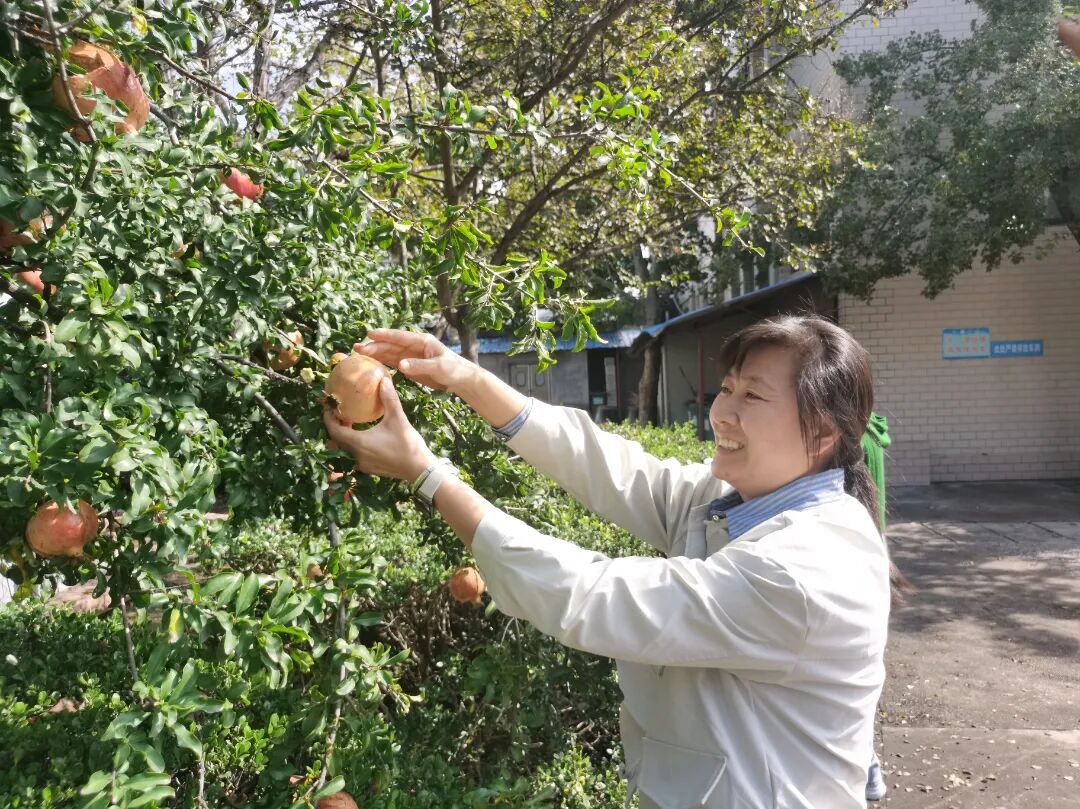 采摘喜悦