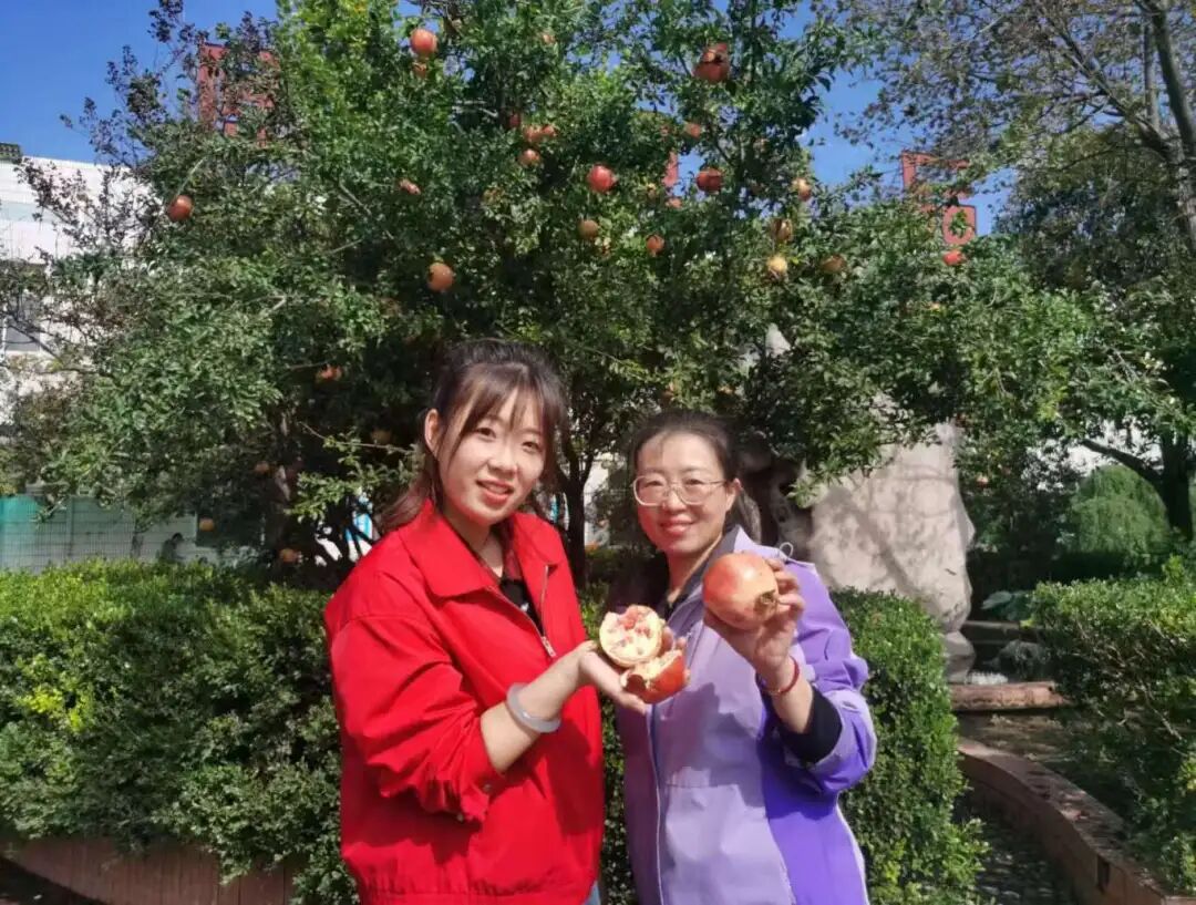 采摘喜悦