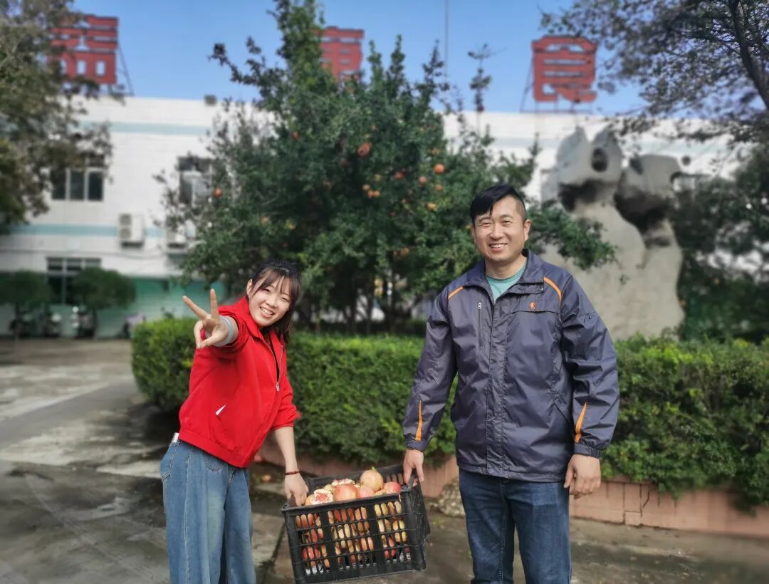 采摘喜悦