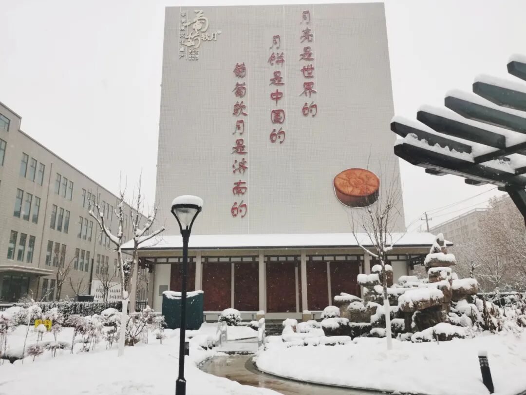 济南益康开展2025扫雪除冰活动
