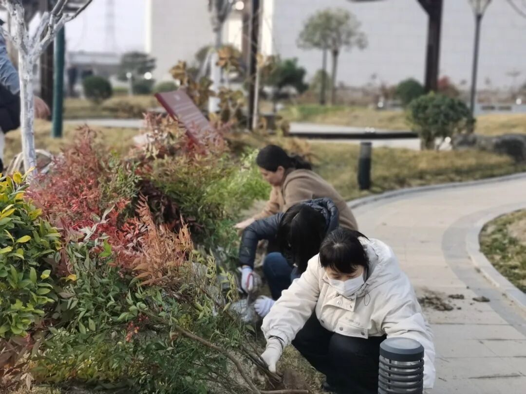 济南益康益利思植树节 济南益康益利思植树节