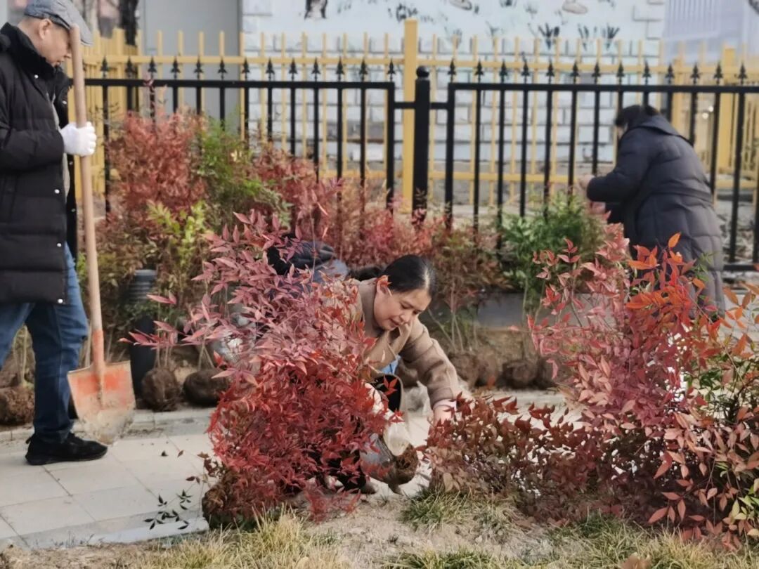 济南益康益利思植树节 济南益康益利思植树节