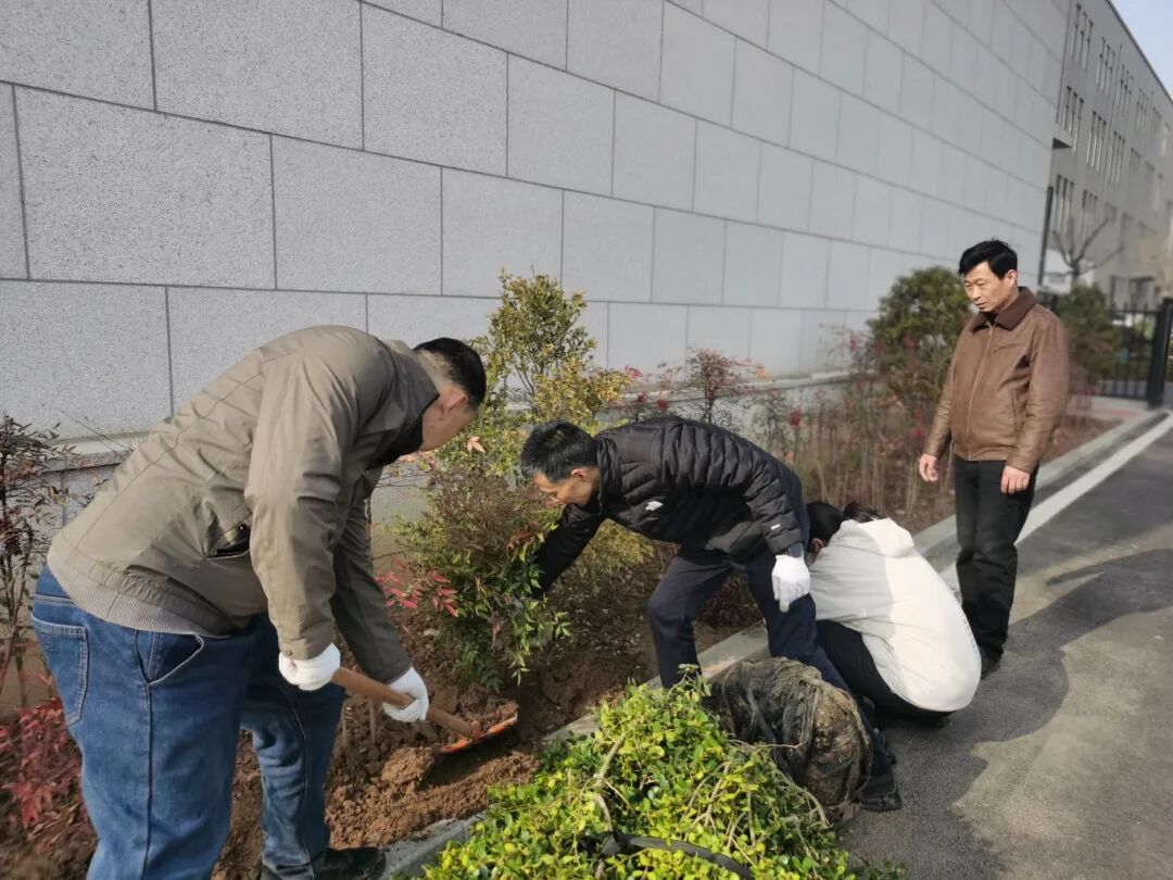 济南益康益利思植树节 济南益康益利思植树节