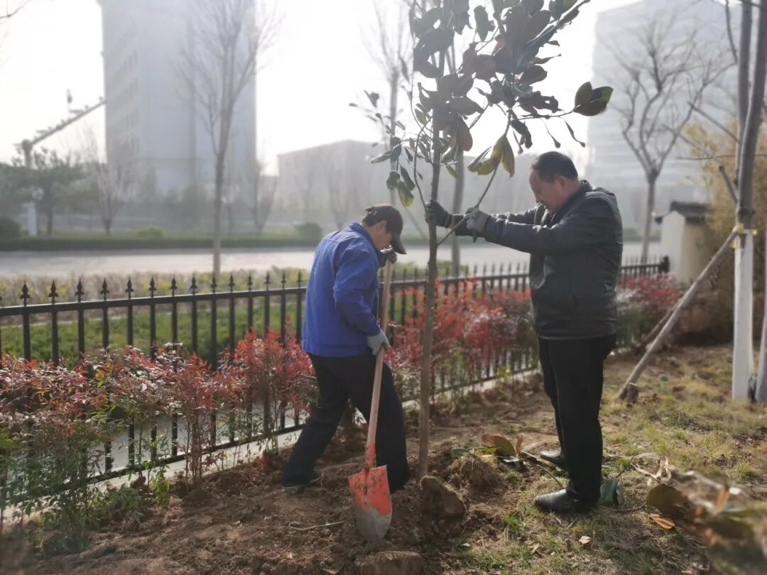 济南益康益利思植树节 济南益康益利思植树节