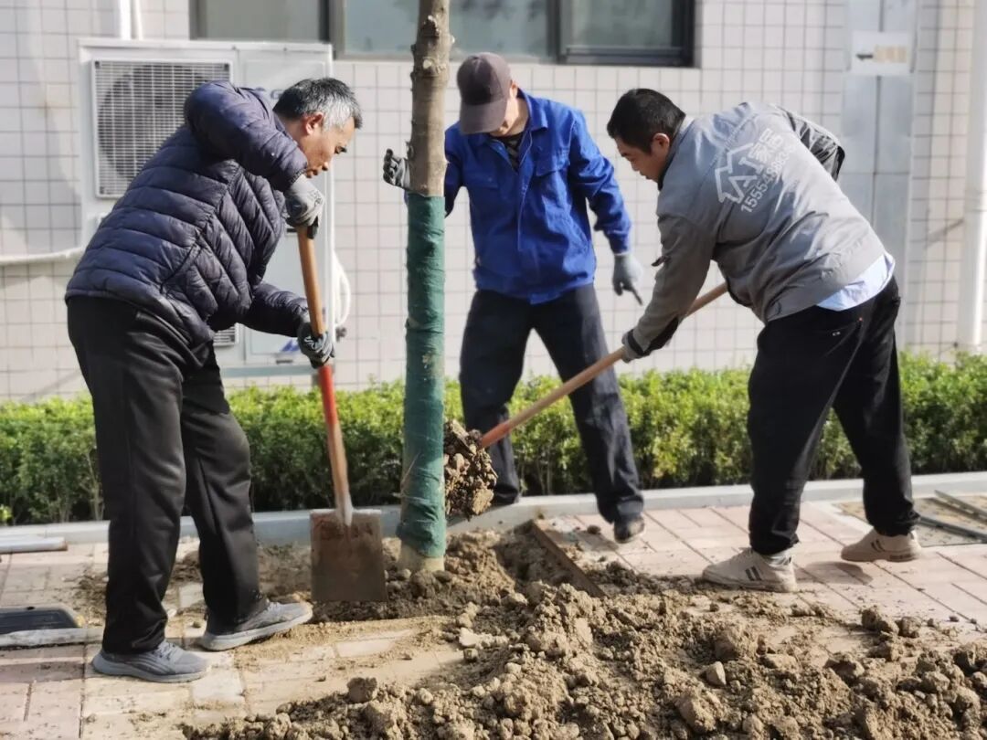 济南益康益利思植树节 济南益康益利思植树节