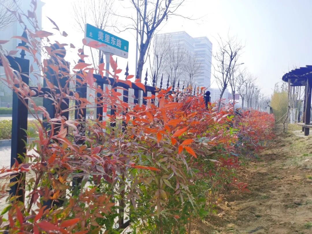 济南益康益利思植树节 济南益康益利思植树节