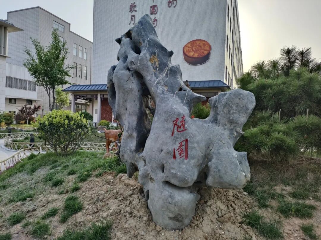 济南益康共建公园—随园,正式开园了 济南益康共建公园—随园,正式开园了