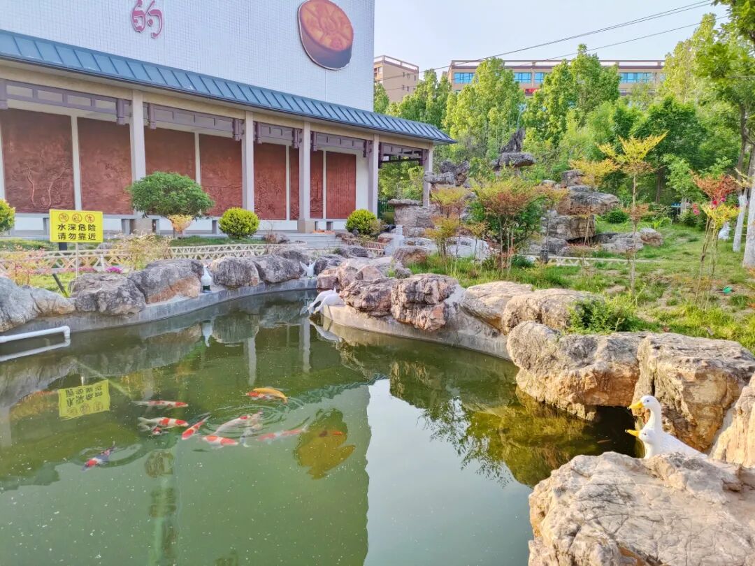 济南益康共建公园—随园,正式开园了 济南益康共建公园—随园,正式开园了