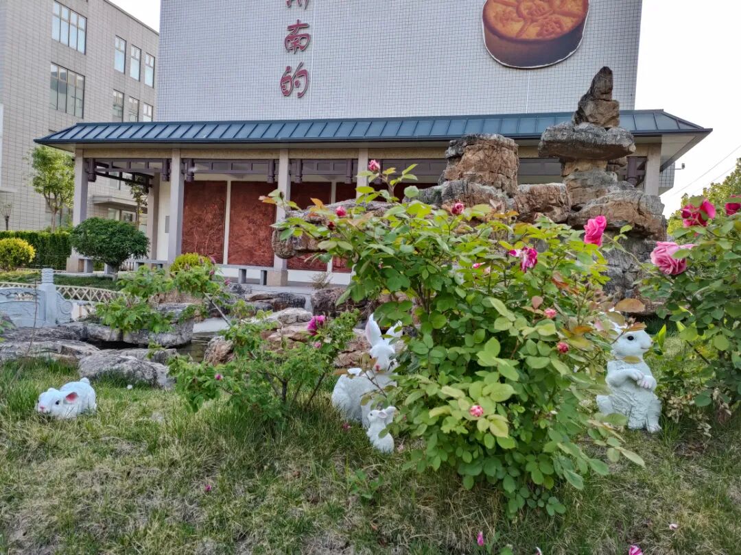 济南益康共建公园—随园,正式开园了 济南益康共建公园—随园,正式开园了