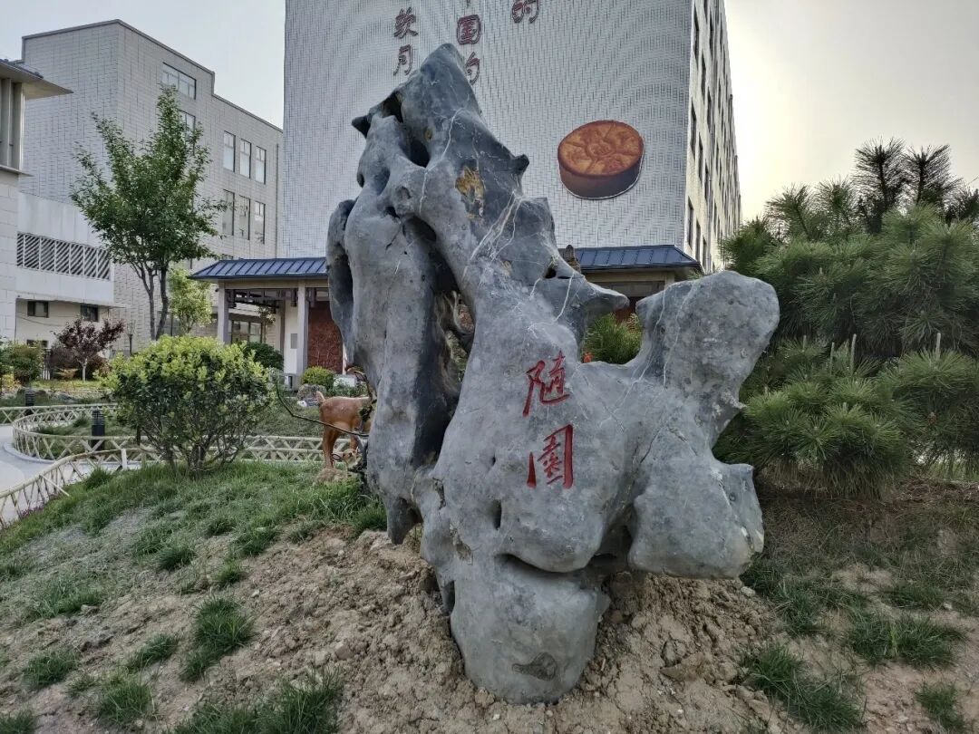 沉浸式玩转益康随园 沉浸式玩转益康随园