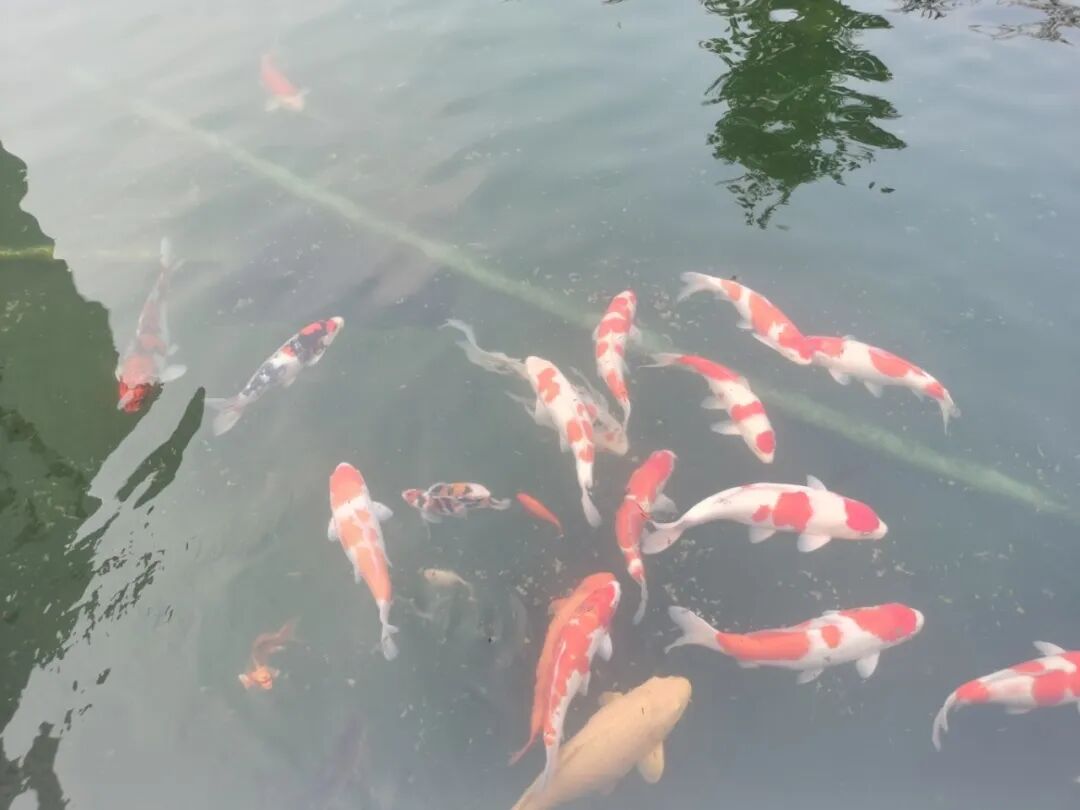 沉浸式玩转益康随园 沉浸式玩转益康随园